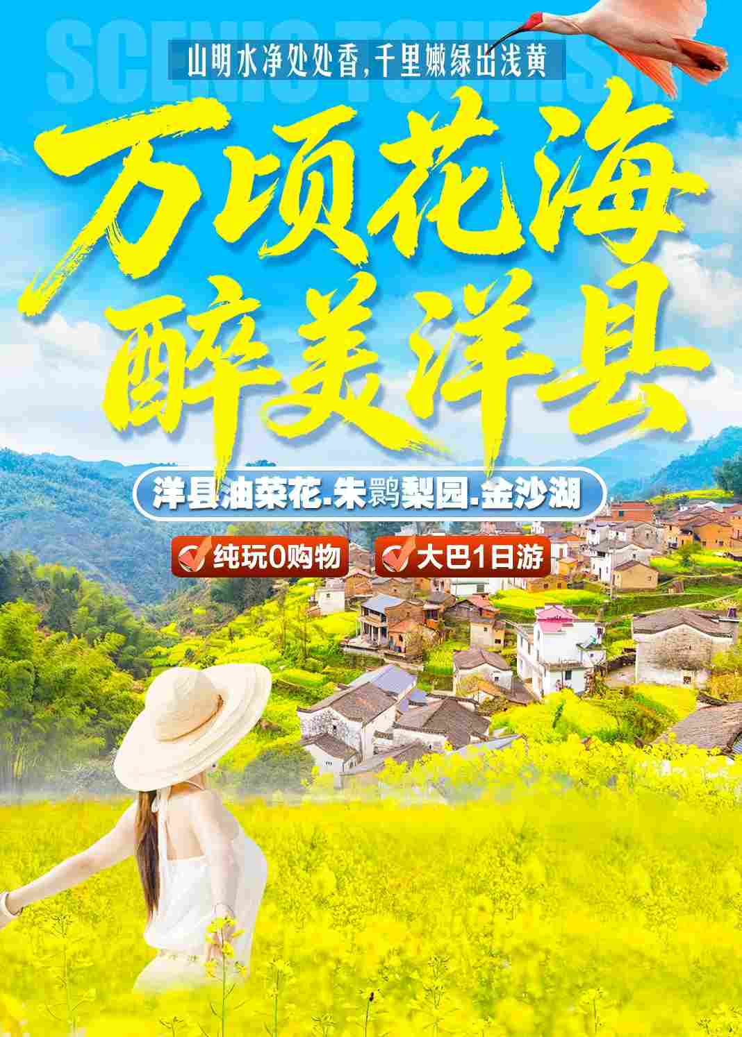 洋县油菜花、朱鹮梨园、金沙湖大巴一日游